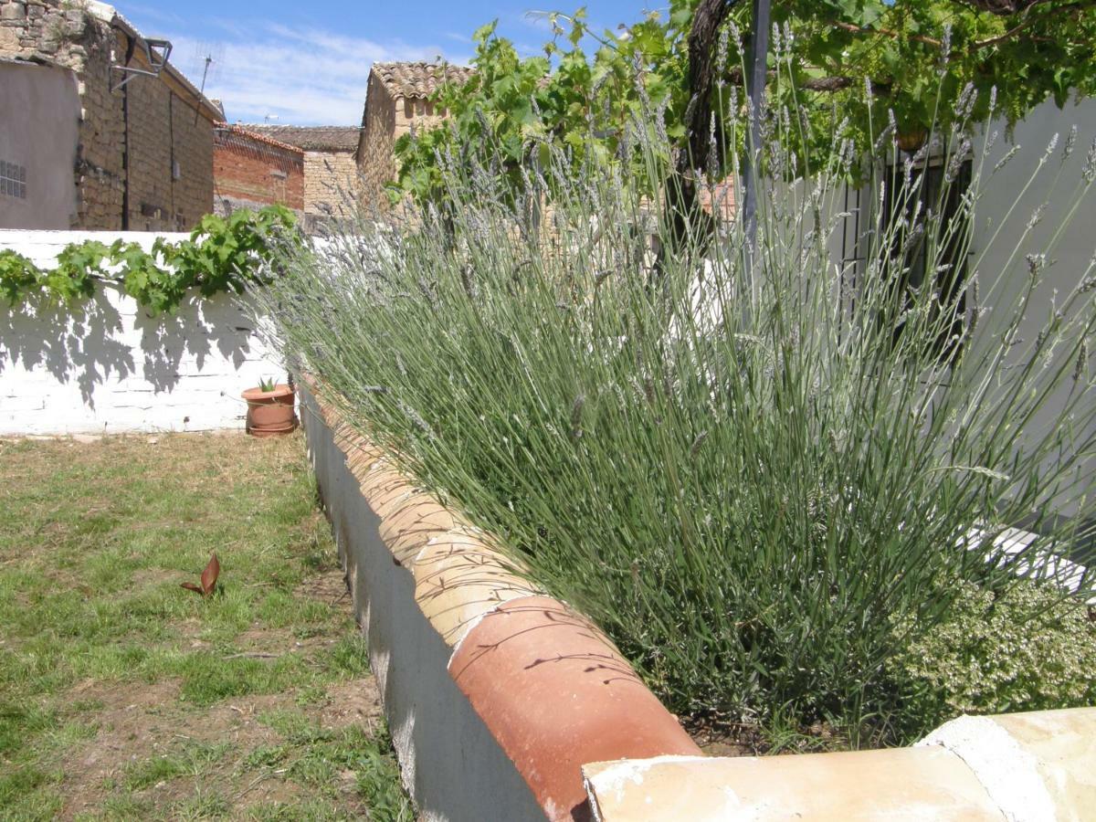 Casa Rural Carino Armananzas Exterior foto